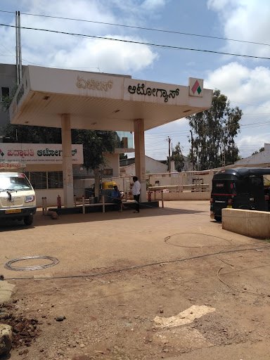 Padmavathi Aegis LPG Pump