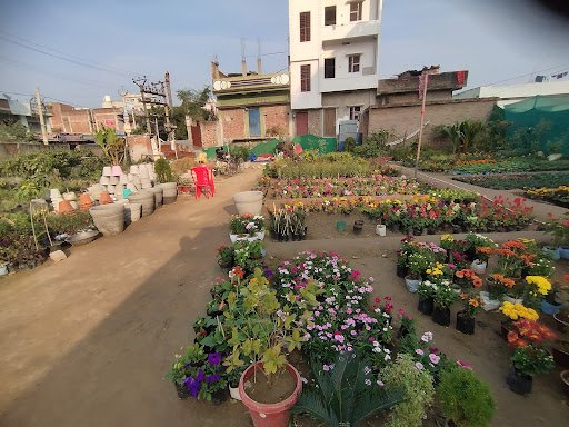 CNG fitting centre (Mogal kuan new rohoi road)