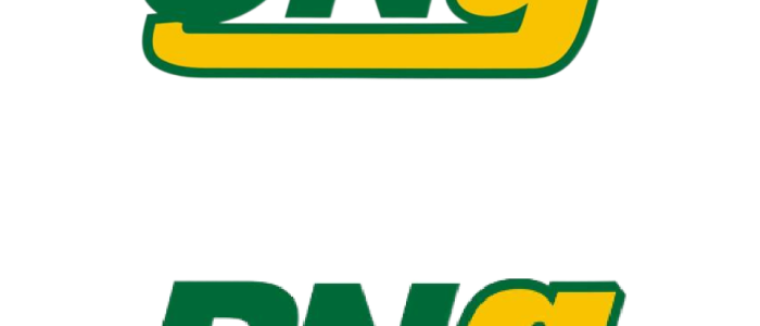 Gail Gas CNG 1 gail gas cng